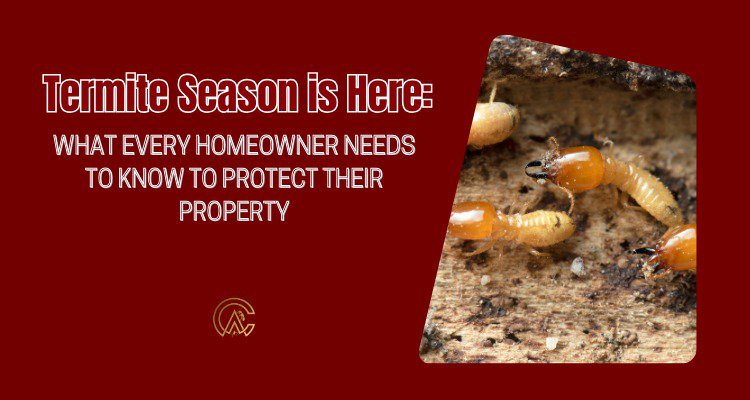 Termite Season is Here: What Every Homeowner Needs to Know to Protect Their Property cover