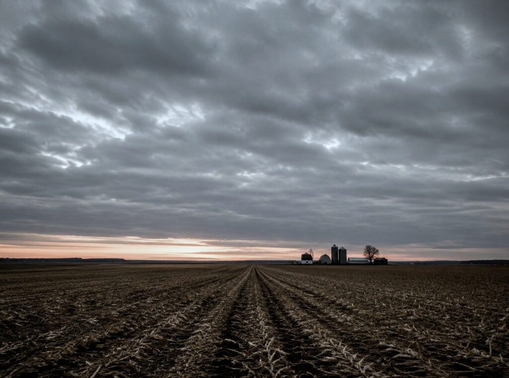 A ploughed field at first light with distant farm buildings on the horizon