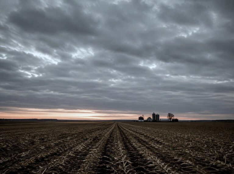 A ploughed field at first light with distant farm buildings on the horizon