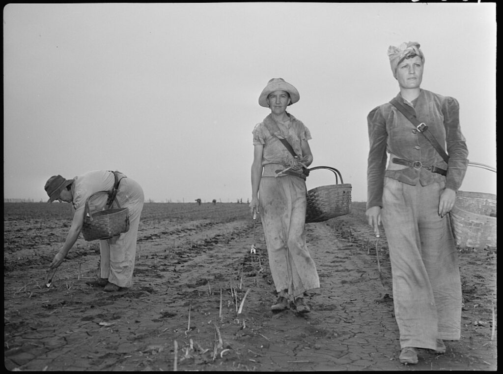 Agricultural workers, Office of War Information