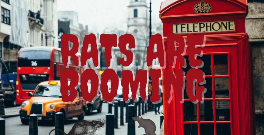 London’s Rat Population Booms in Lockdown